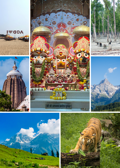 Maya Tour and Travels
