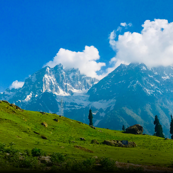 Kashmir